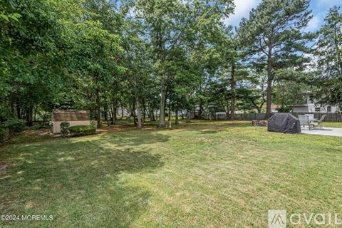 A backyard with a lawn, trees, and a shed.