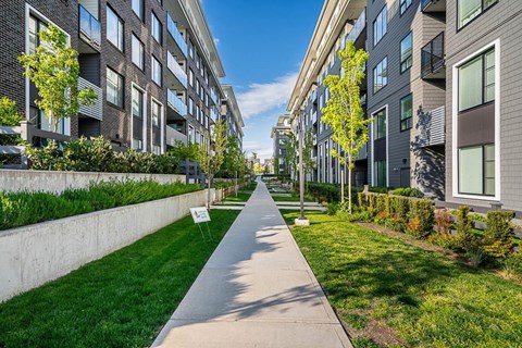 A long concrete walkway separates two rows of modern apartment buildings.