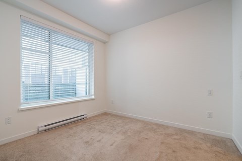 A room with a window and a carpet on the floor.