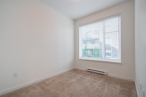 A room with a window and a carpet on the floor.