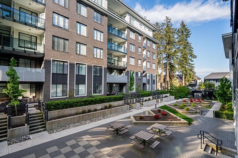 A courtyard with benches and a tree surrounded by buildings.