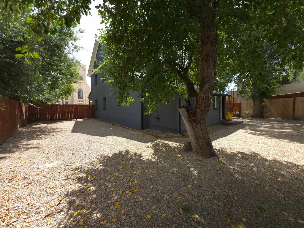 A tree in a yard with leaves on the ground.