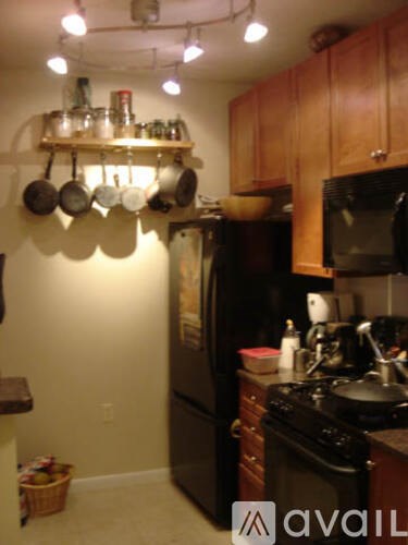 A kitchen with a black refrigerator and wooden cabinets.