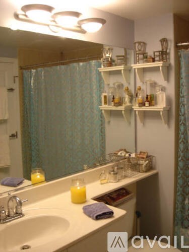 A bathroom with a sink, mirror, and shelves with bottles.