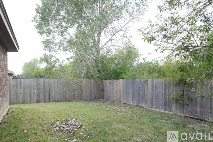 A backyard with a wooden fence and a tree.