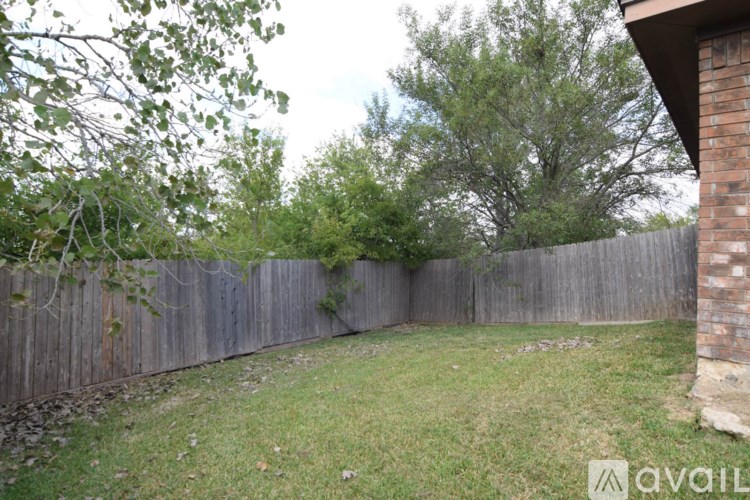 A backyard with a wooden fence and a tree.