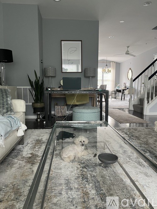 A dog is sitting in the middle of a shiny glass table.