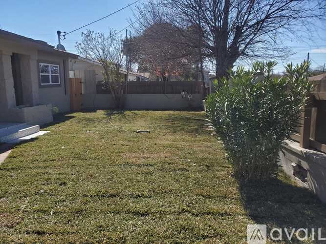 A backyard with a lawn and a tree.