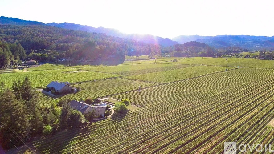 A vineyard with a house and trees in the foreground.
