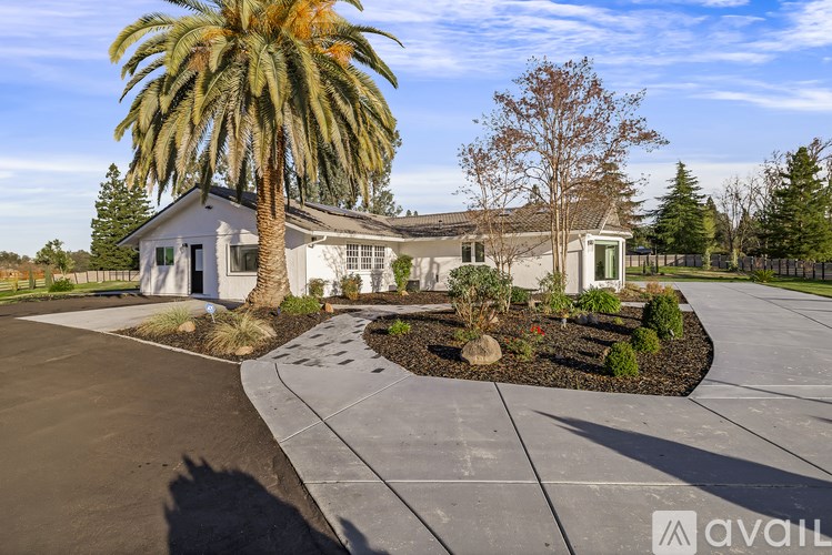 A house with a palm tree in front of it.