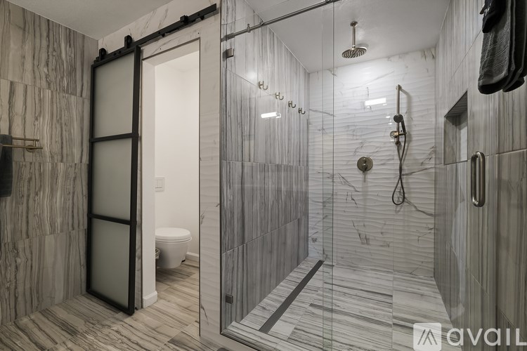 A bathroom with a walk-in shower and a toilet.