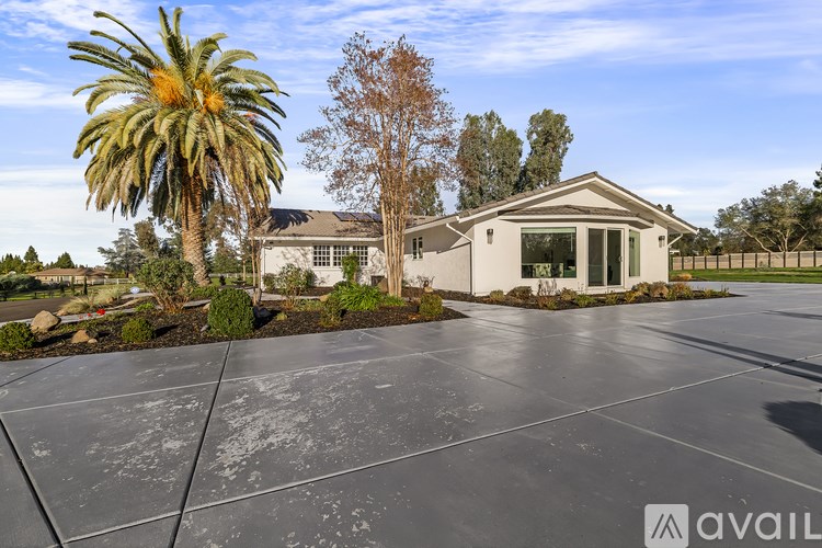 A house with a palm tree in front of it.
