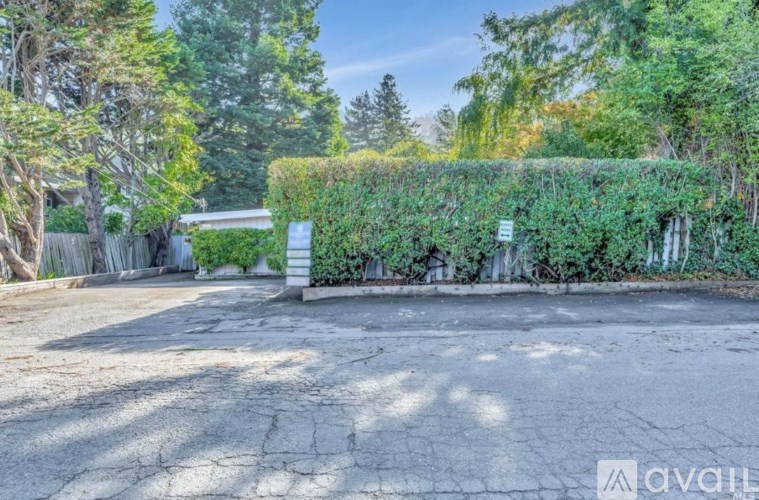 A driveway leads to a house with a hedge on the side.