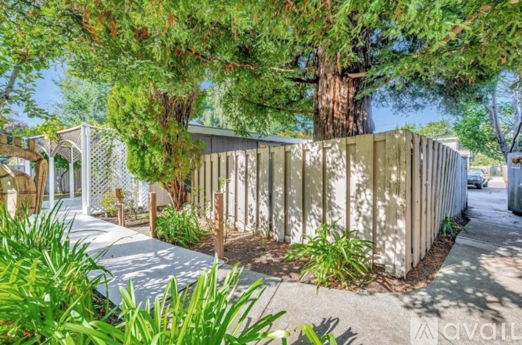 A modern house with a wooden fence and a tree in front.