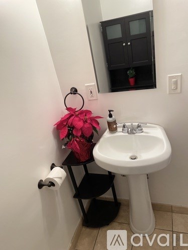 A bathroom with a white sink and a mirror above it.