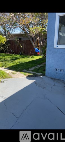 A tree with green leaves is in front of a wooden fence.