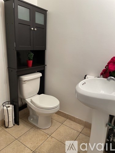 A bathroom with a toilet, sink, and a cabinet with a plant on top.