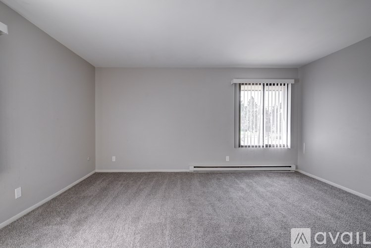 A room with a carpeted floor and a window with blinds.