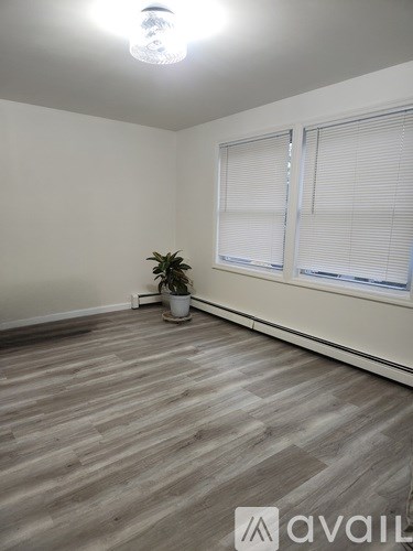 A room with wooden flooring and a plant in a white pot.