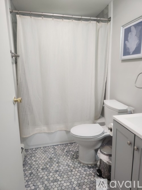 A bathroom with a toilet, a shower curtain, and a cabinet.