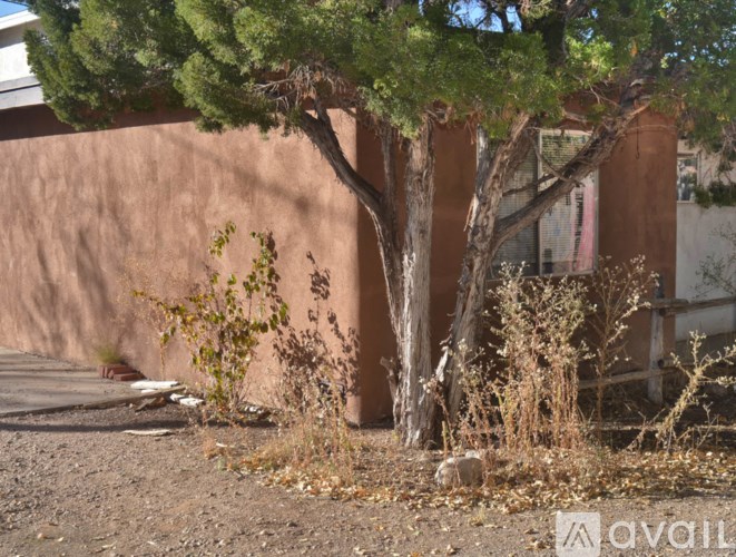 A tree in front of a brown wall.