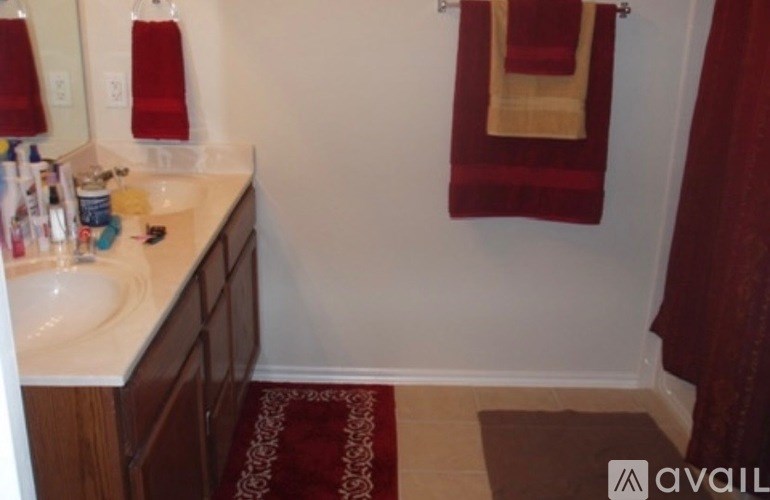A bathroom with a sink, mirror, and red towels.
