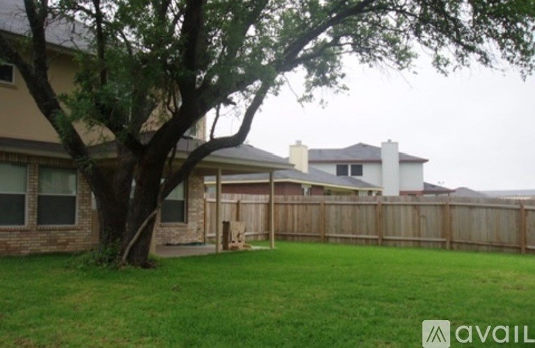 A tree in front of a house with a fence in the backyard.