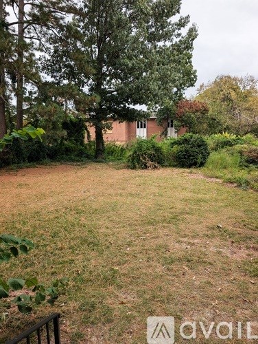 A grassy area with a tree and a building in the background.