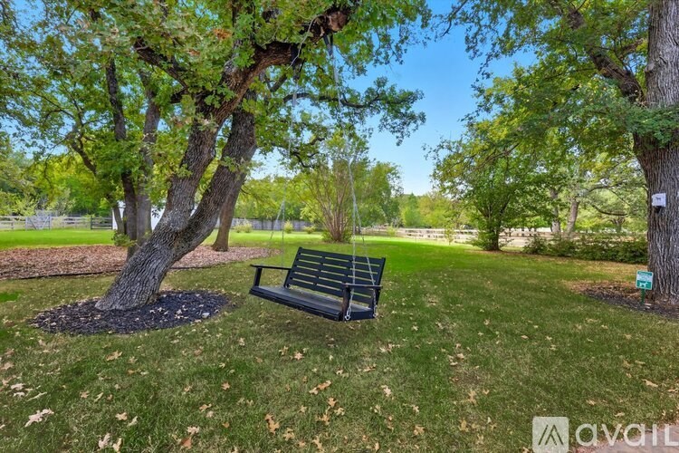 A bench sits under a tree in a grassy area.