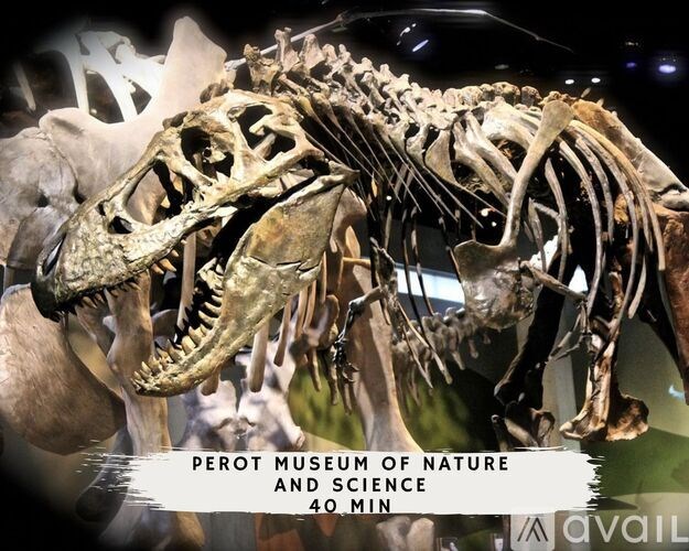 A dinosaur skeleton is on display at the Perot Museum of Nature and Science.