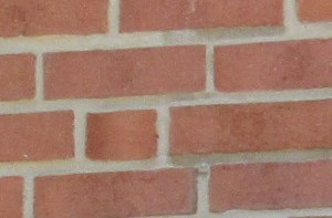 Student Housing In State College Pa Dorchester House Apartments