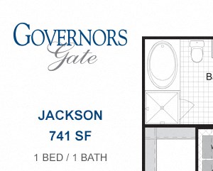 Jackson one bedroom apartment for rent Jackson one bedroom apartment for rent