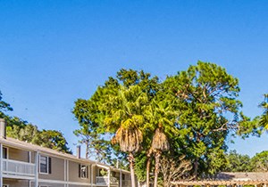 Woodcliff Apartment Homes