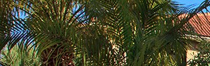Rent To Own Homes In Riviera Beach Florida Rent To Own Homes In Riviera Beach Florida