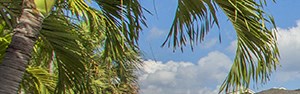 Blue Isle Apartment Homes Apartments In Coconut Creek Fl Florida Apartment Complex With Pool And Sun Deck