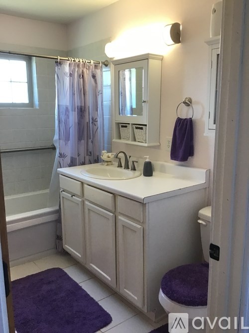 A bathroom with a purple rug and a purple towel.