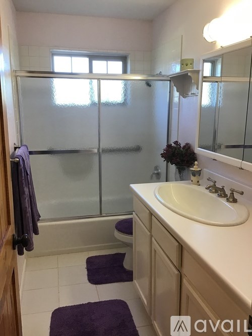 A bathroom with a purple rug and a white sink.