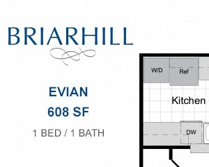 One bedroom apartment for rent One bedroom apartment for rent
