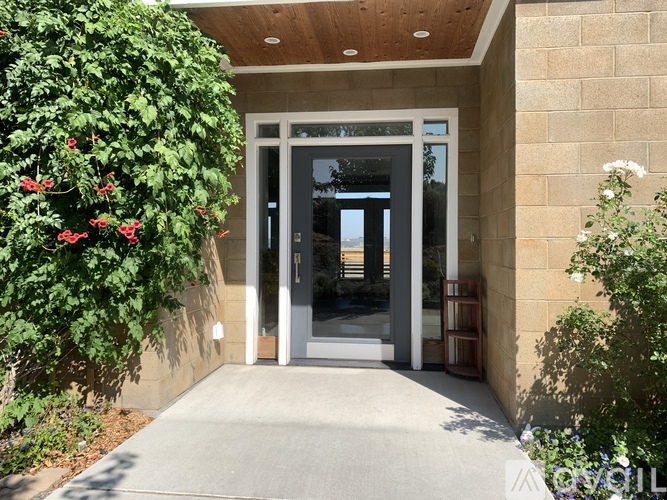 A building entrance with a glass door and a wall on the left side covered in greenery.