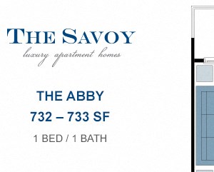 The Savoy Luxury Apartments, 4306 N. Shallowford Road, Atlanta, GA ... The Savoy Luxury Apartments, 4306 N. Shallowford Road, Atlanta, GA ...