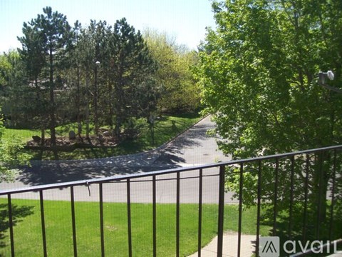 A view from a balcony looking down at a tree-lined path.