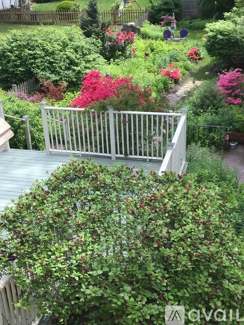 A white fence leads to a lush green garden.