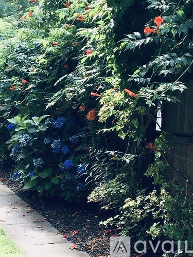 A garden with blue flowers and green leaves.