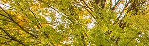 Apartments For Rent In Kennesaw Georgia Apartments For Rent In Kennesaw Georgia