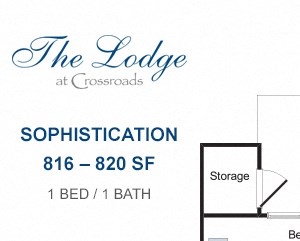 Sophistication one bedroom apartment for rent Sophistication one bedroom apartment for rent