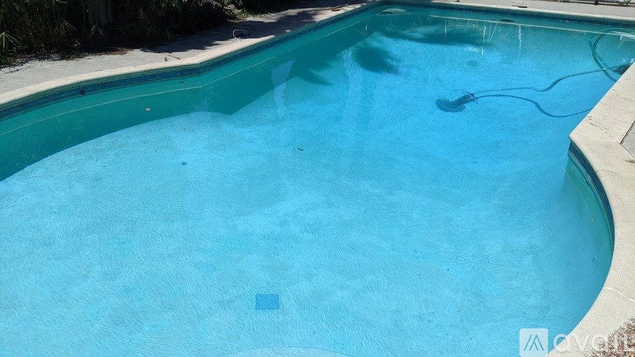 A small empty swimming pool with a blue tiled edge.