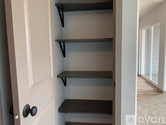 A white door with a black handle and a set of shelves.