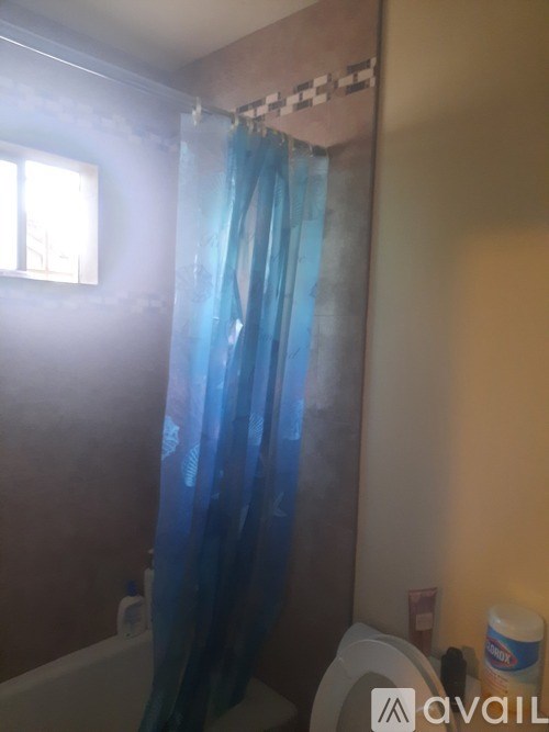 A blue shower curtain in a bathroom.