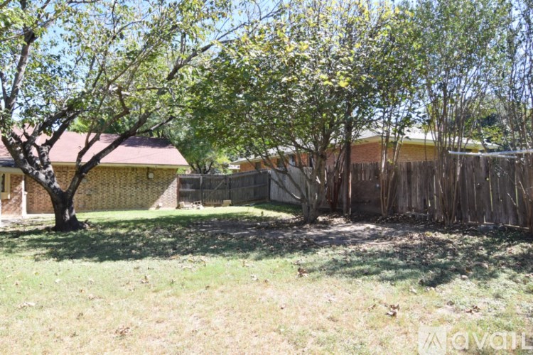 A tree with green leaves is in the foreground of a sunny yard.