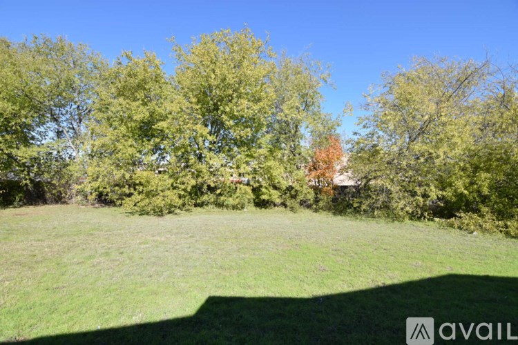 A grassy field with trees in the background.